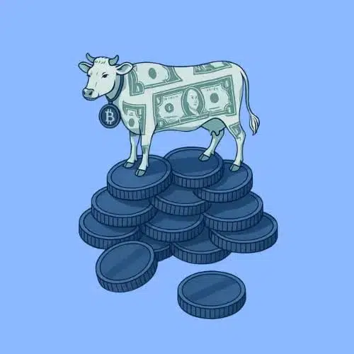 CashCow