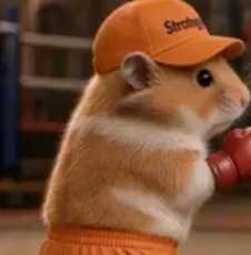$Hamster token logo