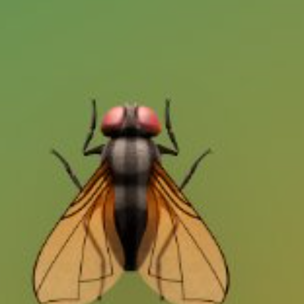MICROFLY