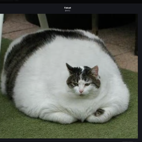 FATCAT