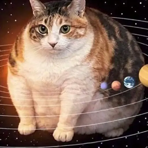 $SPACECAT token logo