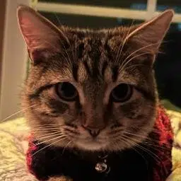 Thomas