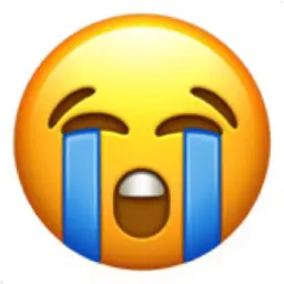 😭