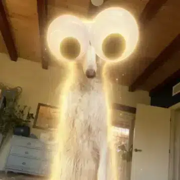 Ora