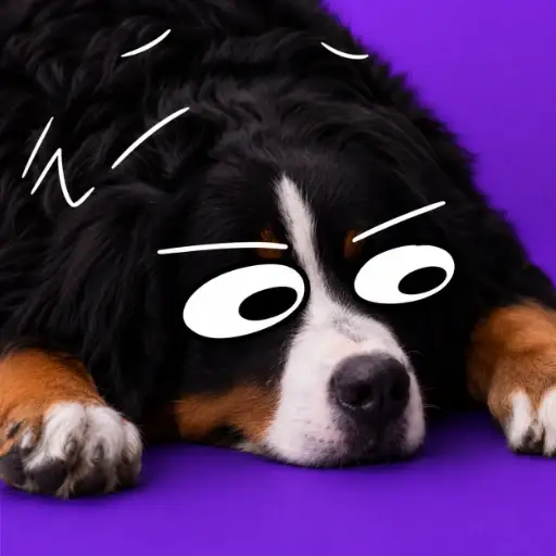 Fomodog