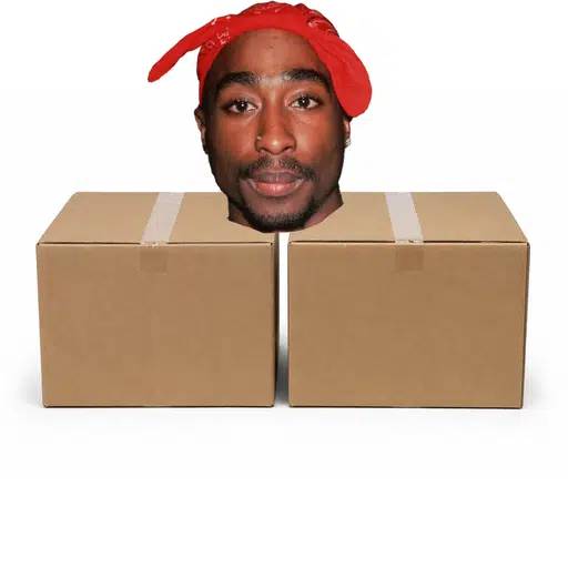 2PAC — recently traded by FASHR on Solana