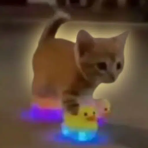 QUAKCAT