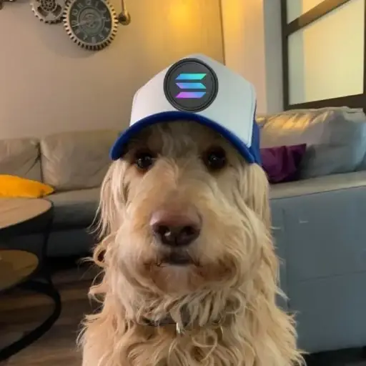 solanadog