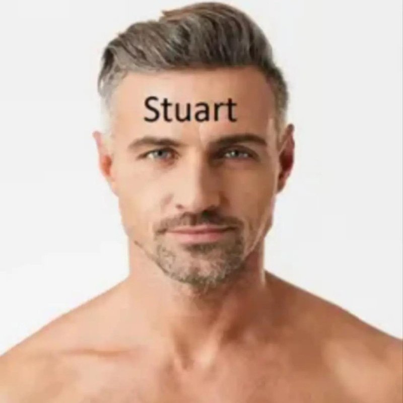 STUART logo