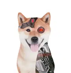 Xiongan