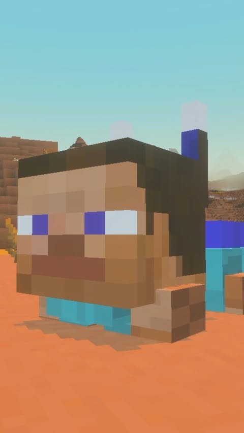 STEVE