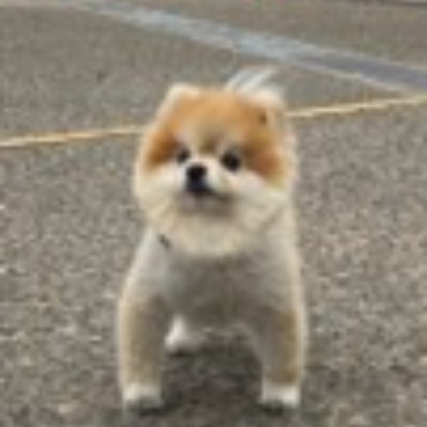 Nala