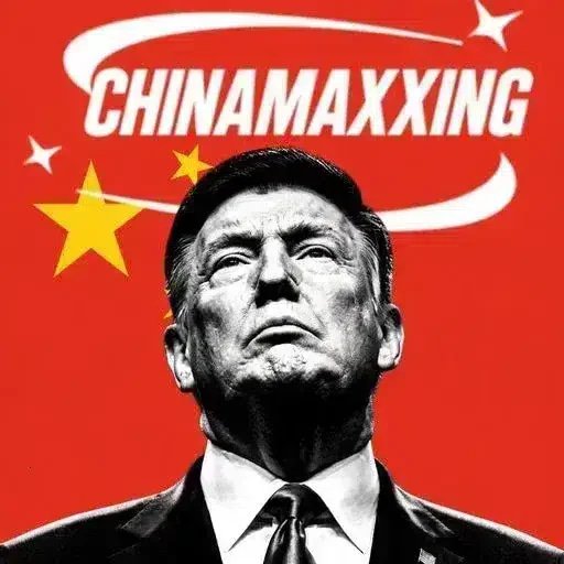 CHINAMAXXING