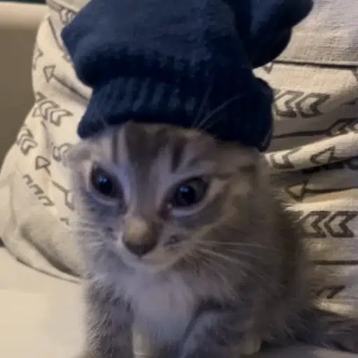 sock