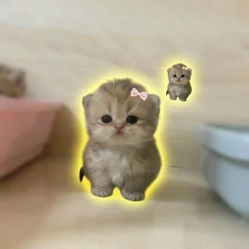 cᶜ