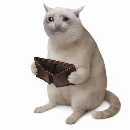 POORCAT