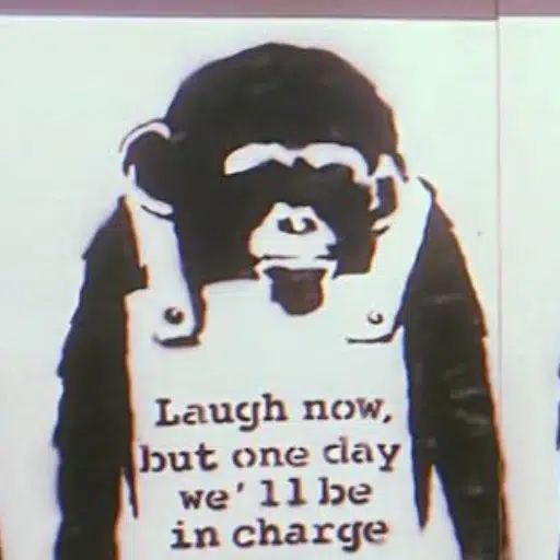MONKEY