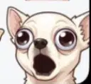 POPDOG