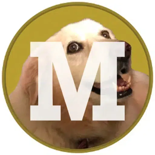 Maggie — Maggiecoin Solana token traded by KOLs