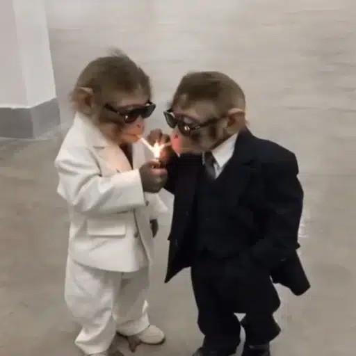 bros