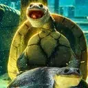 Turtle