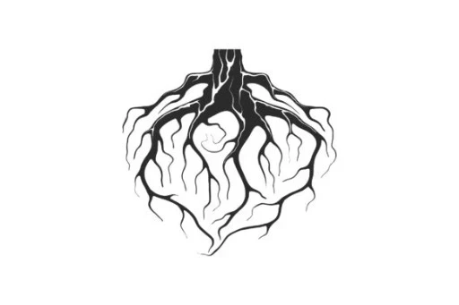 RootPad