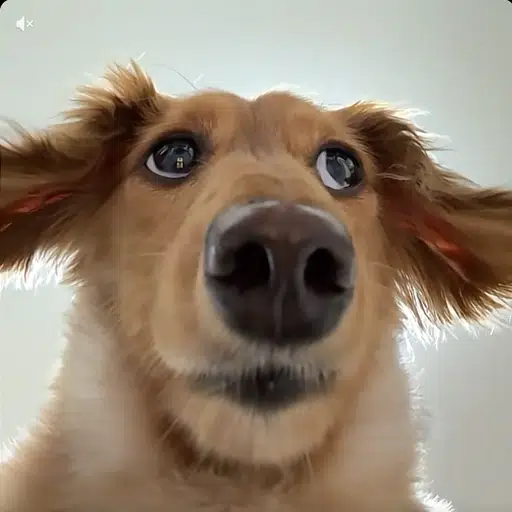 シュンタ