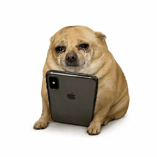 CRYINGDOG