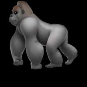 $🦍 token logo