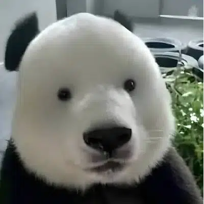 FLUFFY