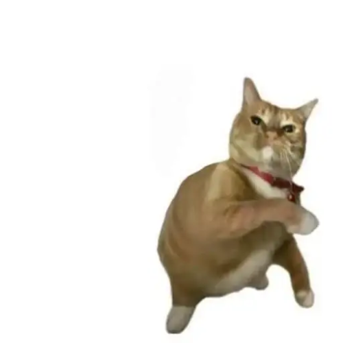 yeet — yeetcat Solana token traded by KOLs