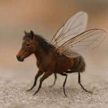 HORSEFLY