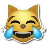 LMEOW