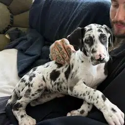 PENNY
