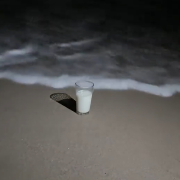 Milk
