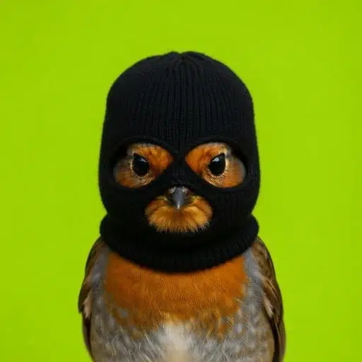 ROBIN