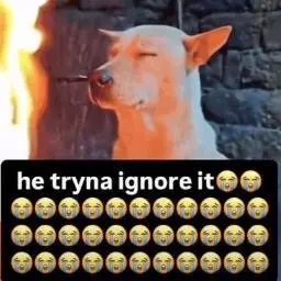 IGNORE