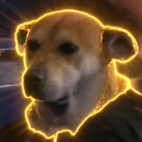 Jonah — The Sidelined Dog Solana token traded by KOLs
