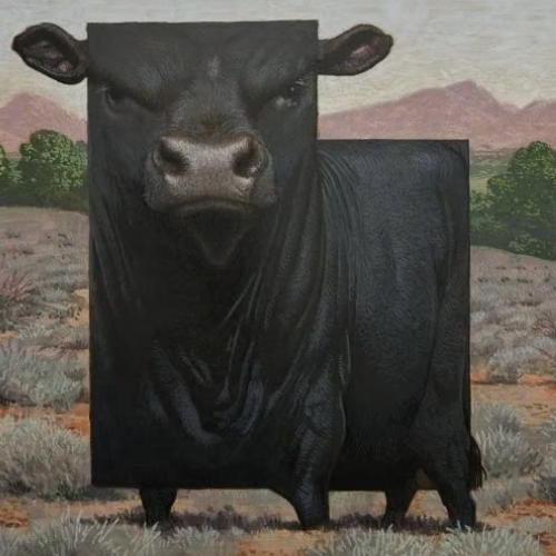 cow
