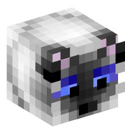 BLOCKCAT
