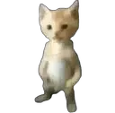 Miguel