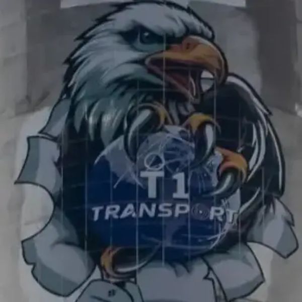 T1