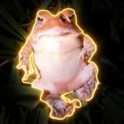 TOAD — recently traded by Radiance on Solana