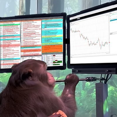 TIER10K — Monkey Business Solana token traded by KOLs