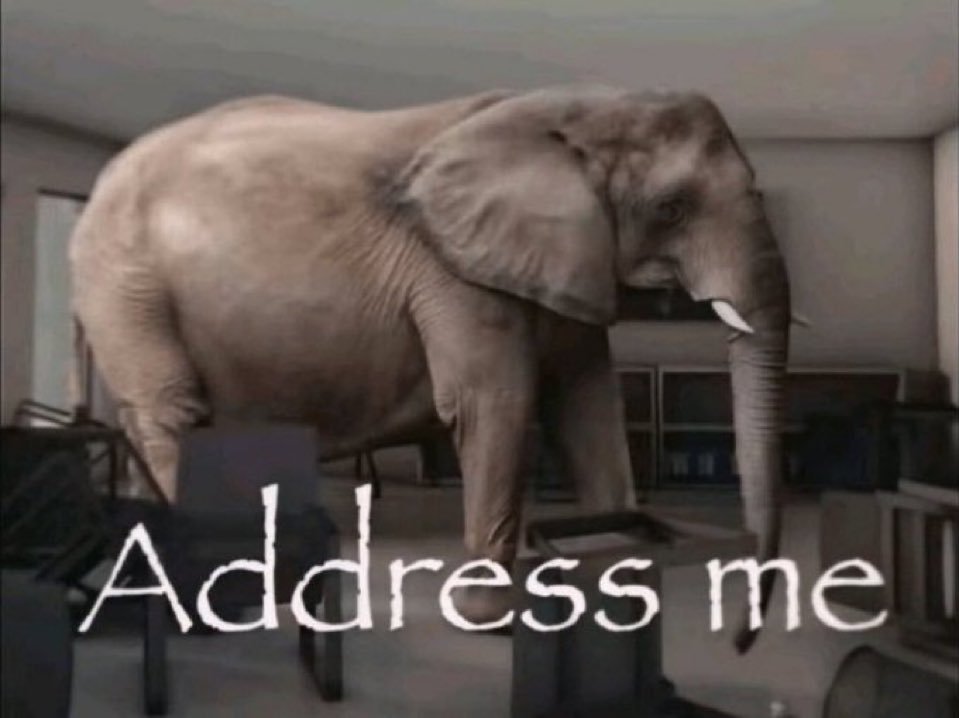 ELEPHANT