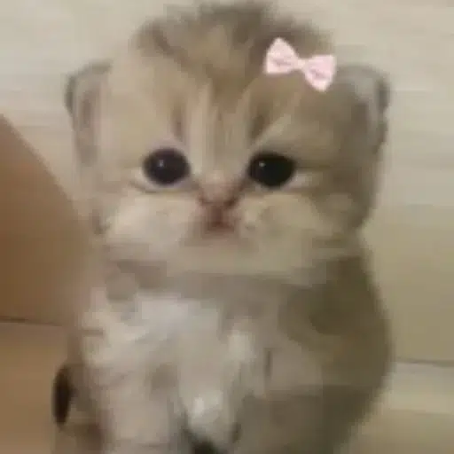 MILLY