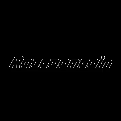 raccoon