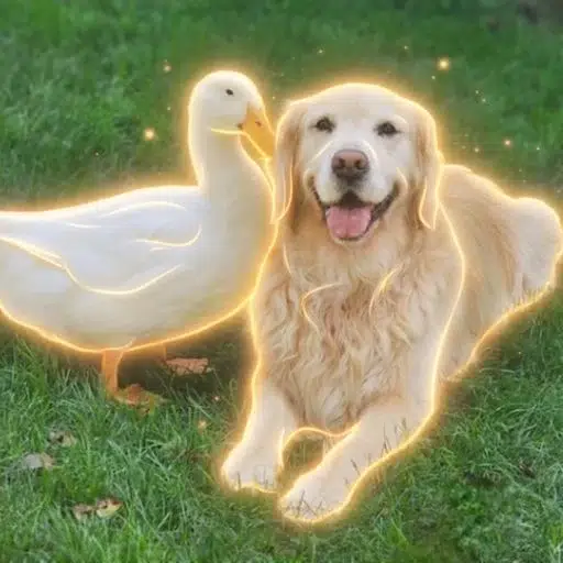 Friendship