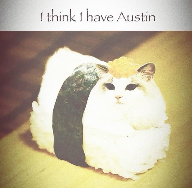 AUSTIN