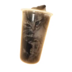 catpuccino